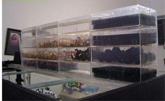 <html>
<head><title>502BadGateway</title></head>
<body>
<center><h1>502BadGateway</h1></center>
<hr><center>nginx</center>
</body>
</html>
<!--apaddingtodisableMSIEandChromefriendlyerrorpage-->
<!--apaddingtodisableMSIEandChromefriendlyerrorpage-->
<!--apaddingtodisableMSIEandChromefriendlyerrorpage-->
<!--apaddingtodisableMSIEandChromefriendlyerrorpage-->
<!--apaddingtodisableMSIEandChromefriendlyerrorpage-->
<!--apaddingtodisableMSIEandChromefriendlyerrorpage-->
