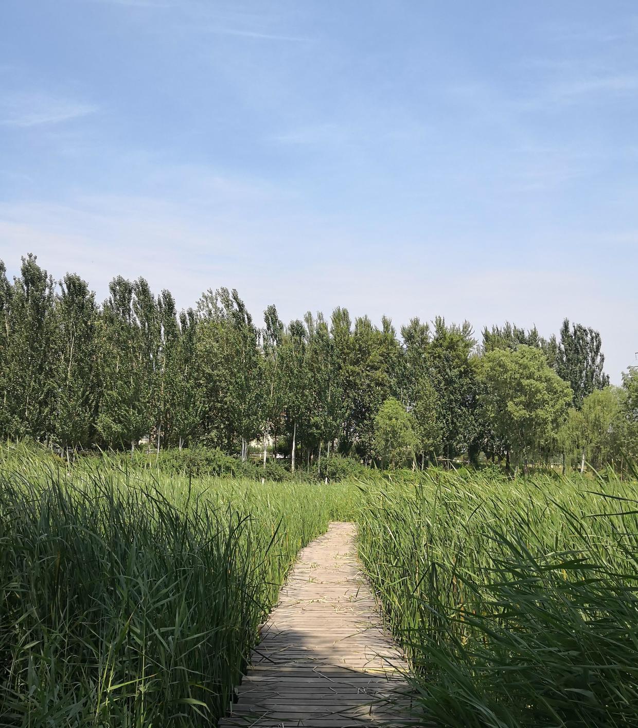 汾河公园跑马拉松,30度高温马拉松