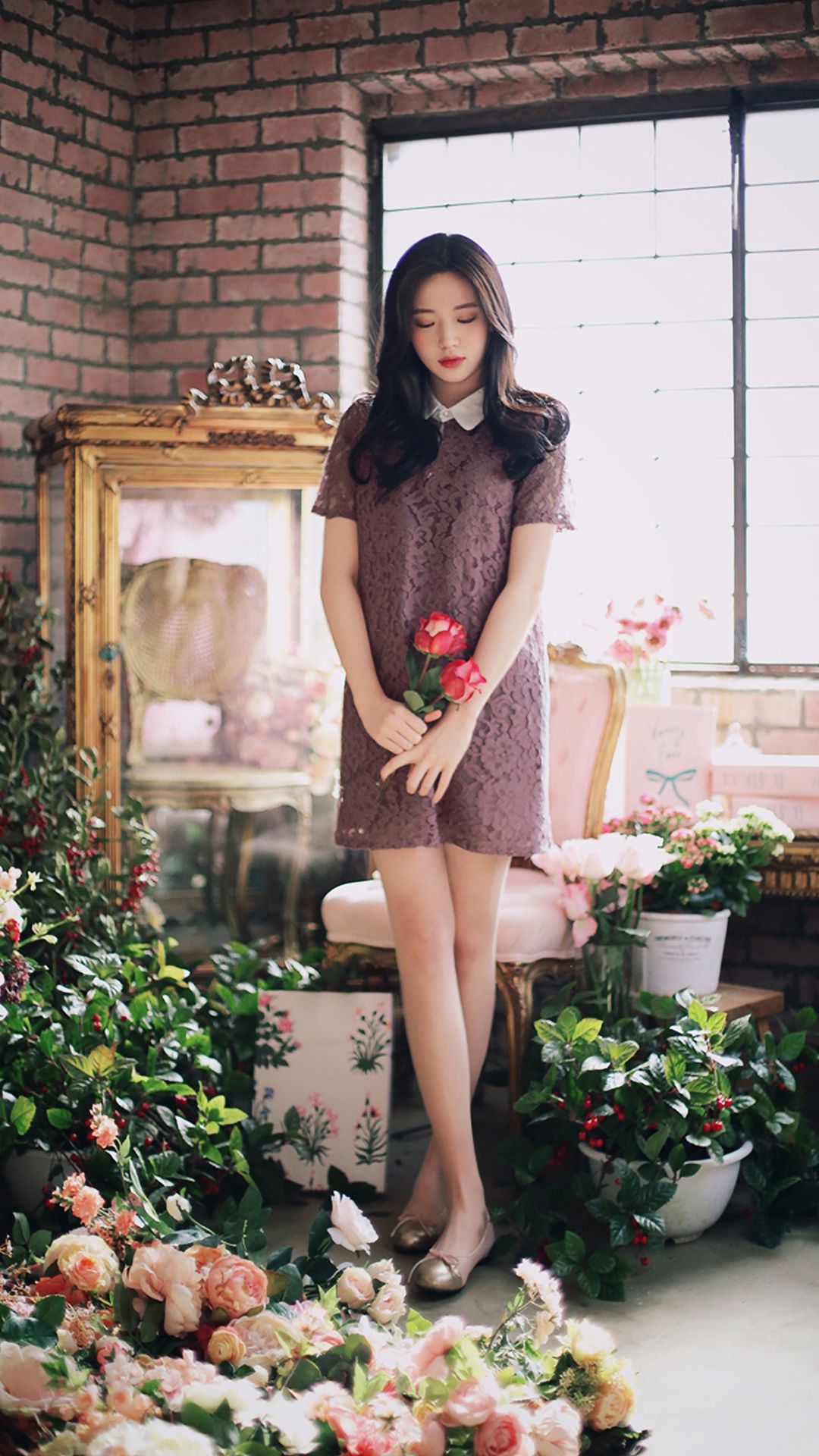 hd高清壁纸大全,hd高清壁纸