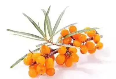 三宝大闹晋中市，10县1区大PK