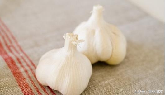 茉莉红蜘蛛用什么药最有效,茉莉生红蜘蛛用什么方法