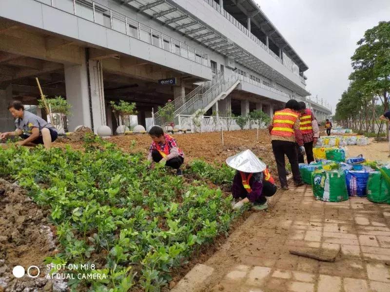 肇庆市场的景色,肇庆新开的农贸市场