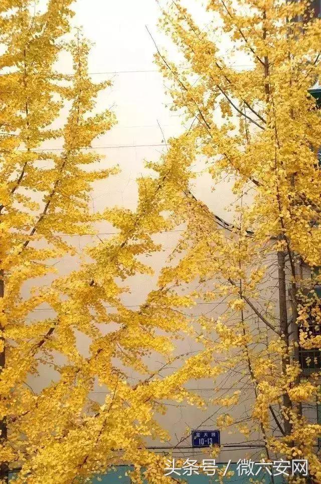 南京二十九中对比十三中,南京二十九中学是什么档次