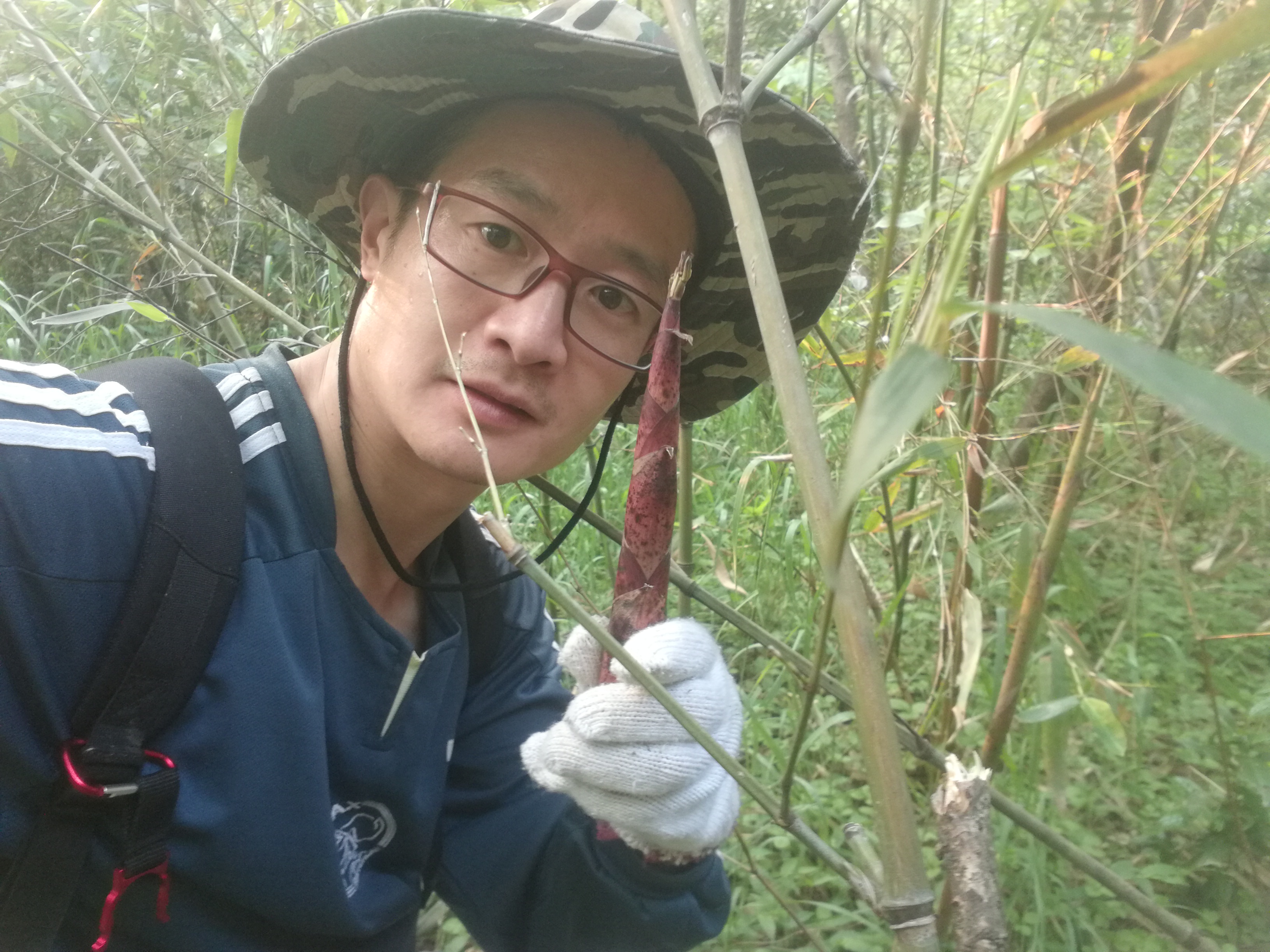 笋中的贝克汉姆，安吉天目山石笋，鲜美无比