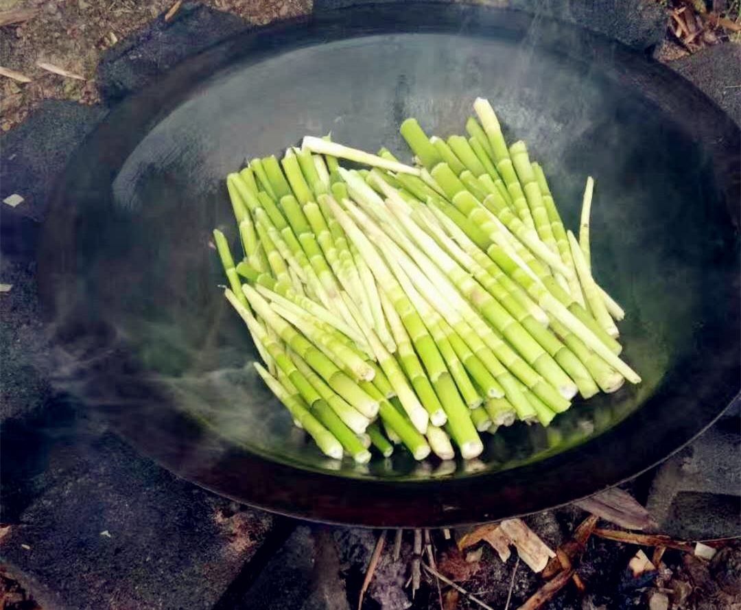 笋中的贝克汉姆，安吉天目山石笋，鲜美无比