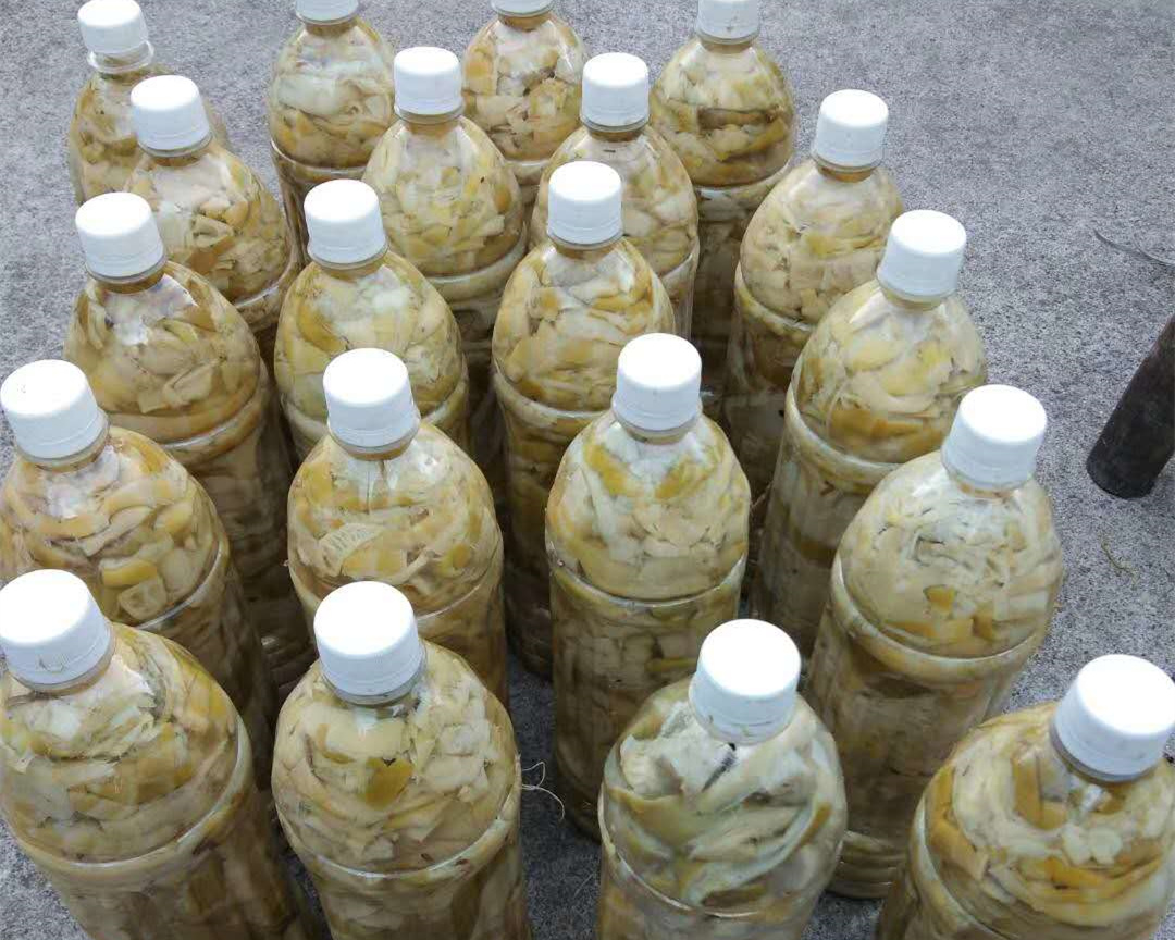 笋中的贝克汉姆，安吉天目山石笋，鲜美无比