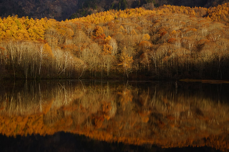 索尼微单135mm定焦镜头人像怎么拍,索尼135mm和85mm哪个好