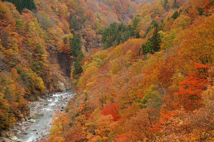 索尼微单135mm定焦镜头人像怎么拍,索尼135mm和85mm哪个好