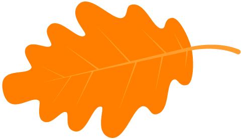 关于毒品你都了解哪些,毒品