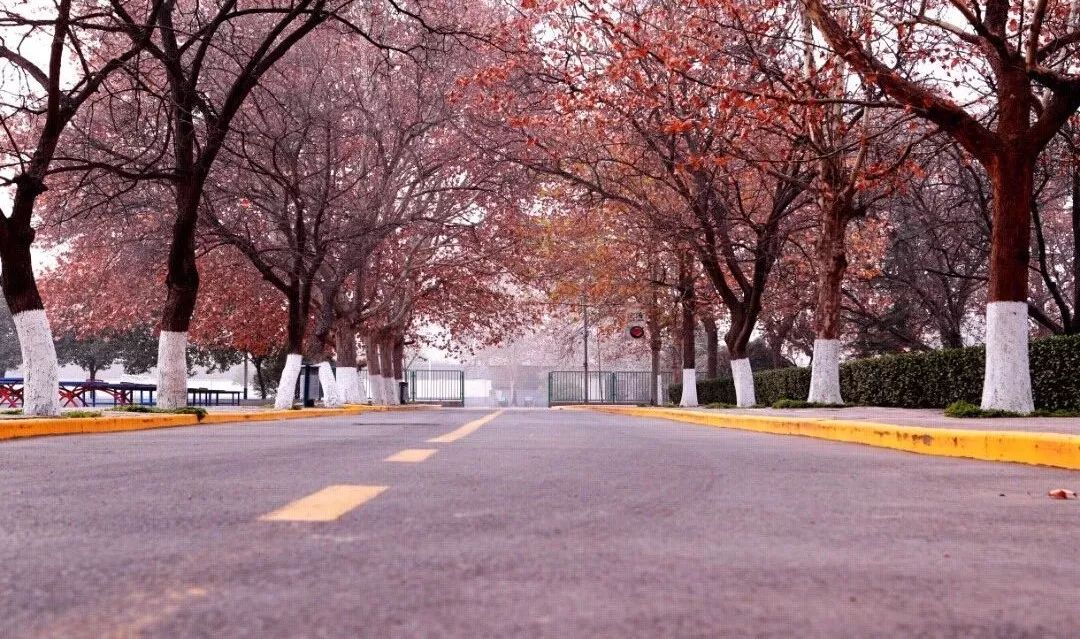 职业技术学院专业排名,张店职业技术学院专业