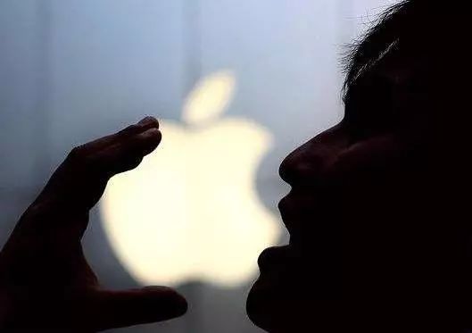 跨国公司在华经营问题及对策研究,跨国公司在华本土化的案例分析