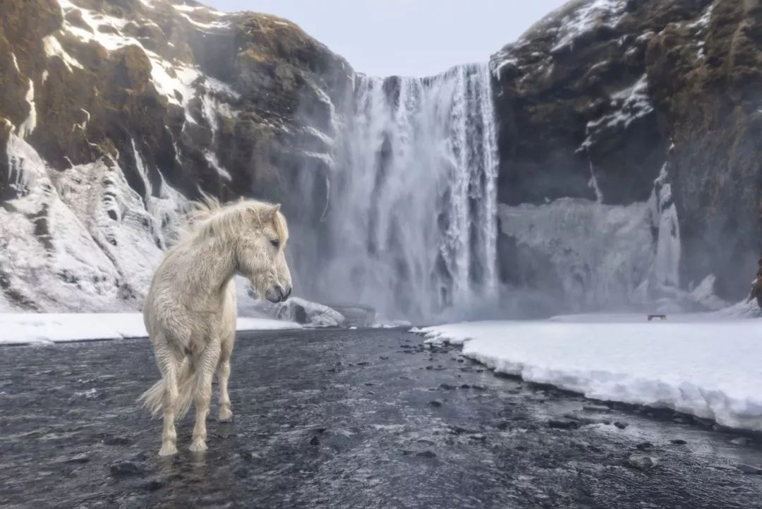 上半年大片推荐,2018旅行大片