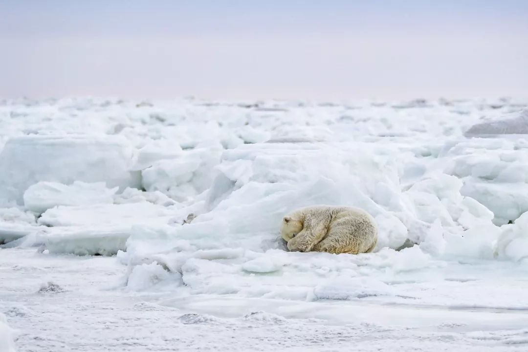 上半年大片推荐,2018旅行大片