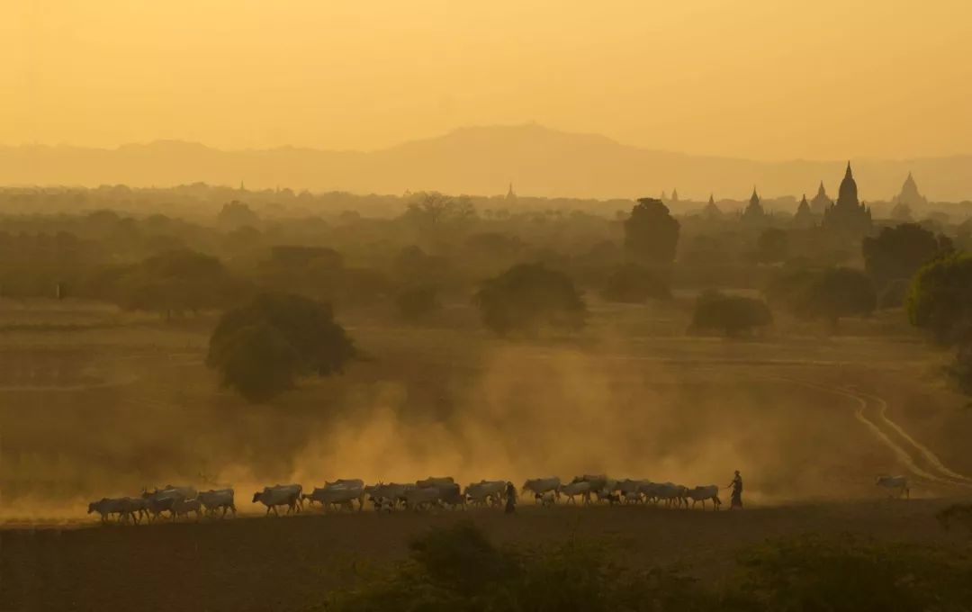 上半年大片推荐,2018旅行大片