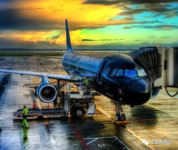 新西兰到底是一个什么样的国家,新西兰一个孤独与梦幻的国家