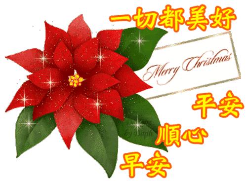 清清的晨风摇响快乐的铃铛,我的心奏起欢快的乐曲,亲爱的早上好