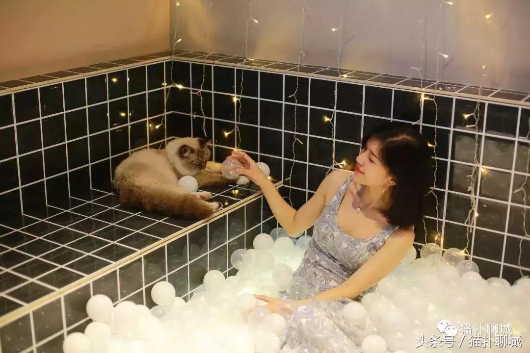 聊城适合拍照的网红店有哪些,聊城最火美发网红店