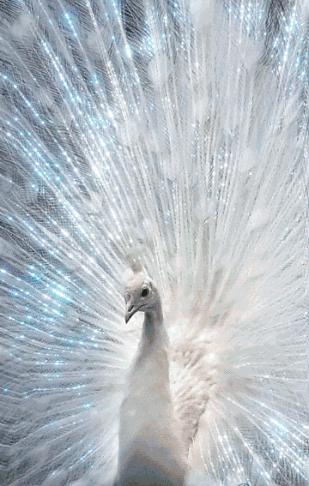 枫林诗苑对联集,枫林诗苑对联大全