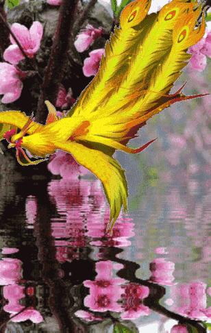 枫林诗苑对联集,枫林诗苑对联大全