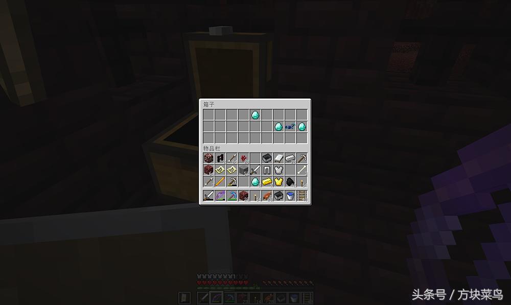 我的世界网易版菜鸟生存日记,我的世界菜鸟生存记