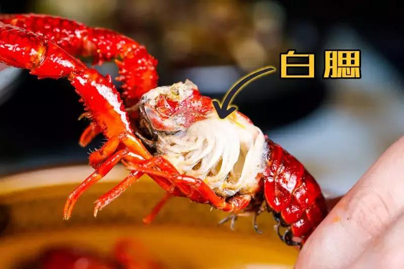 天津人都在疯传的看球基地！买大送小，简直不要太划算！