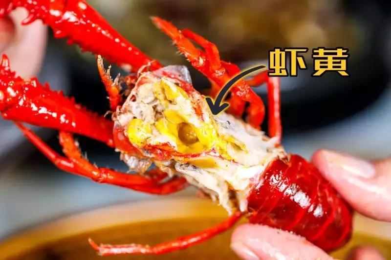 天津人都在疯传的看球基地！买大送小，简直不要太划算！