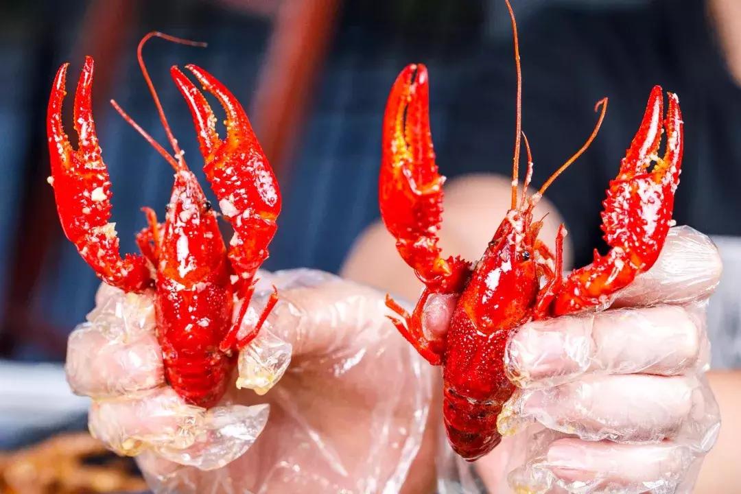 天津人都在疯传的看球基地！买大送小，简直不要太划算！