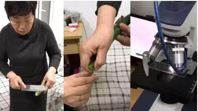 黄瓜中有杀不死的寄生虫,这条谣言你信了吗?挑选黄瓜请注意