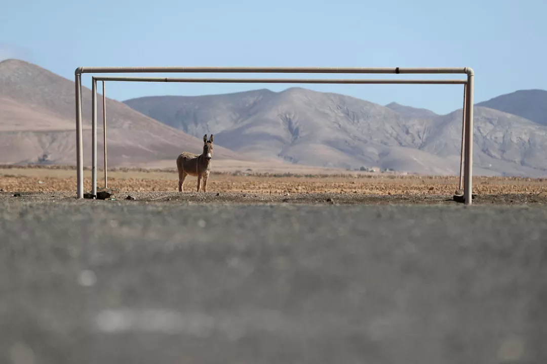 世界十大奇异足球场,足球场真实奇葩战术