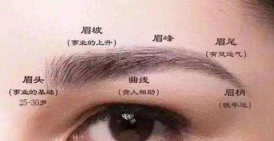 一眉长一眉短的面相,面相看眉毛的讲究