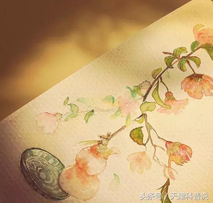 阴历阳历农历新历怎么区分,日历有农历阴历阳历怎么分辨