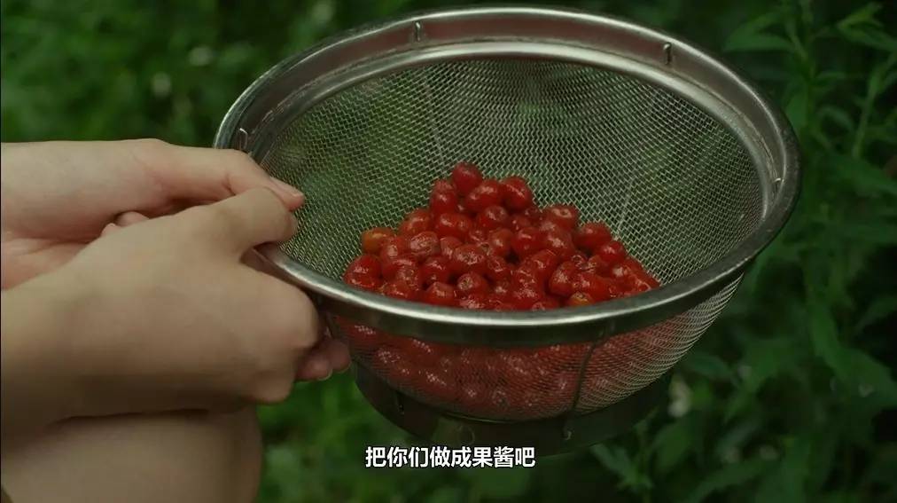 观《小森林》,怎样才能更好的生活