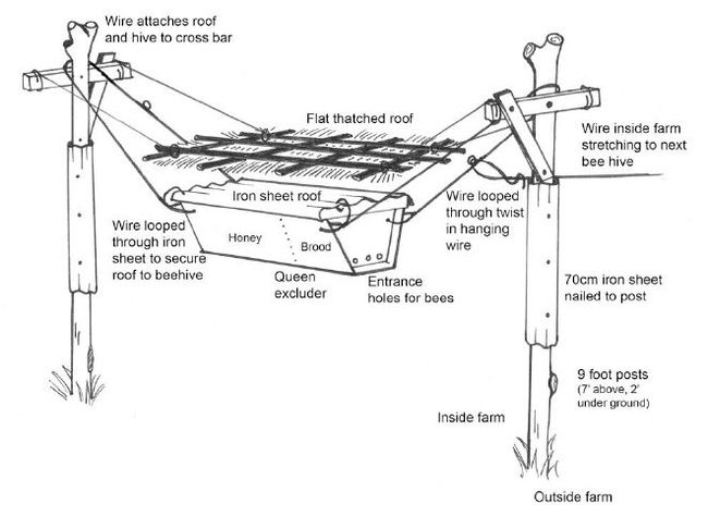 解救大象计划,解救大象攻略