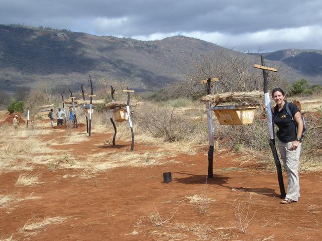 解救大象计划,解救大象攻略