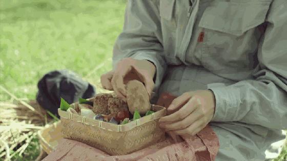 观《小森林》,怎样才能更好的生活