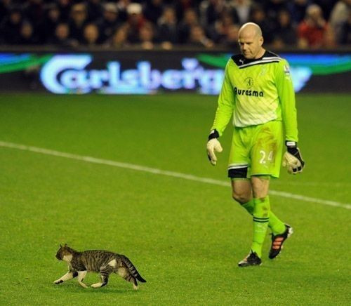 足球裁判暂停,足球暂停比赛