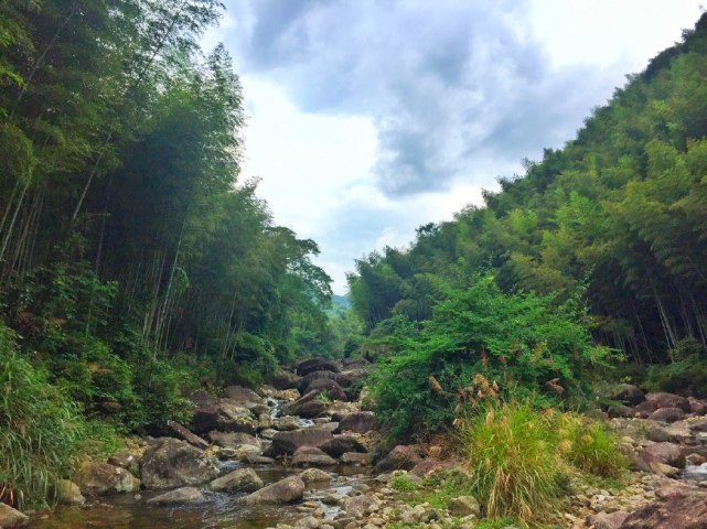 笋干怎样做好吃视频大全,撕笋干开胃下饭菜