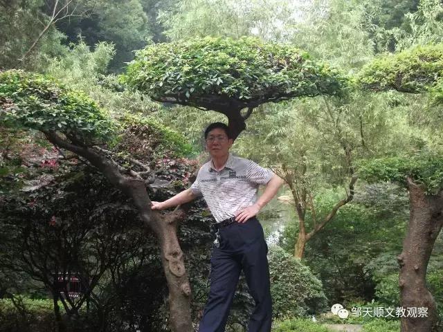 勤于耕耘，甘于平淡的语文特级教师——杨华当