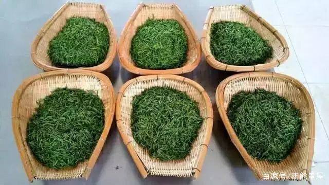 鑼跺懗鍦ㄥ績浜虹敓濡傝尪,鑼跺懗鍦ㄥ績娣卞害瑙ｆ瀽