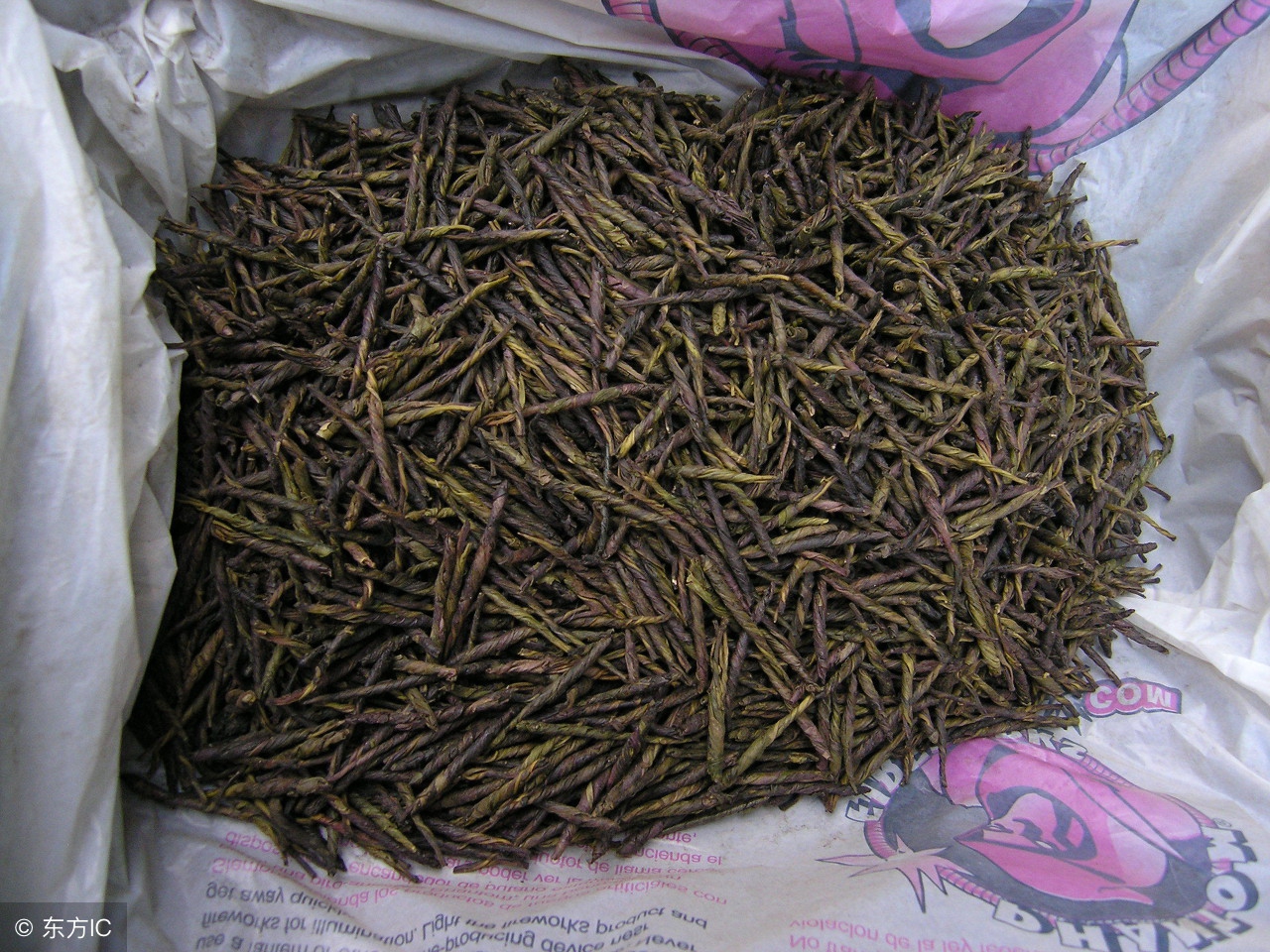 小苦丁茶清热降火,苦丁茶可以清热祛湿吗