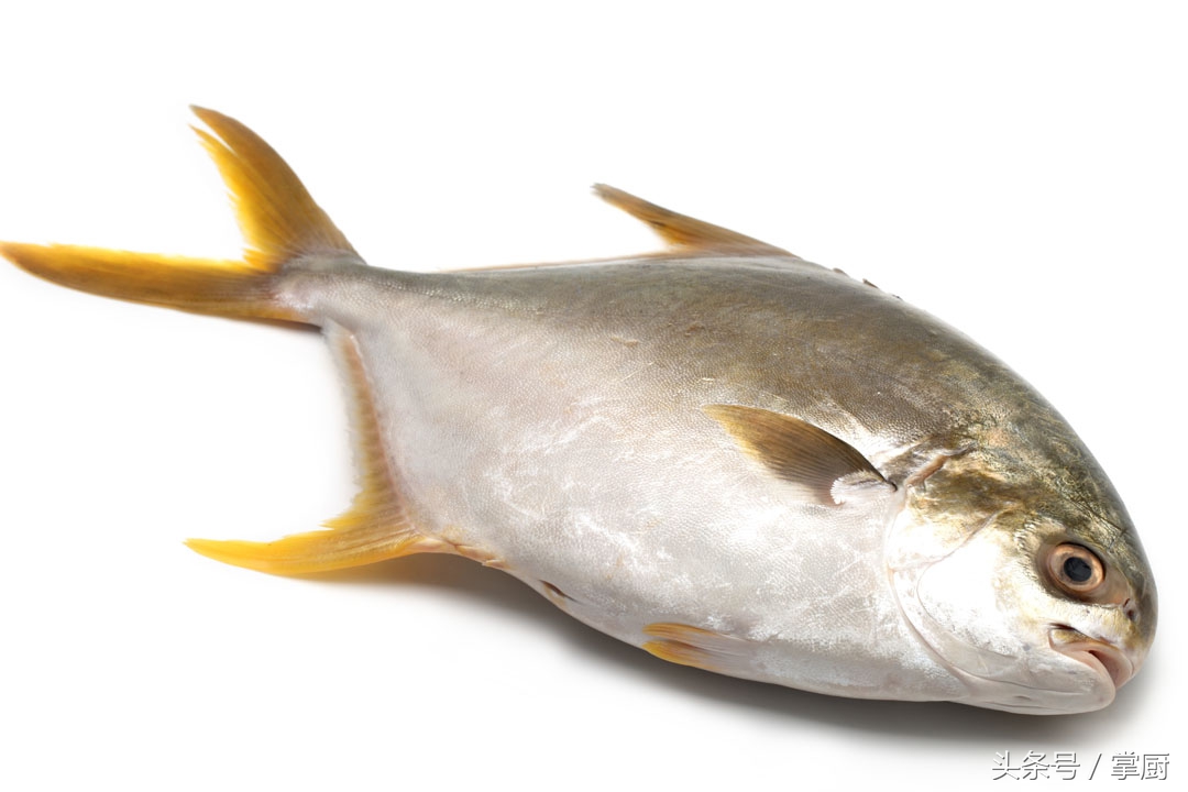 清蒸鱼鲳鱼怎么做才没有腥味,清蒸鲳鱼怎么去腥味最快最有效