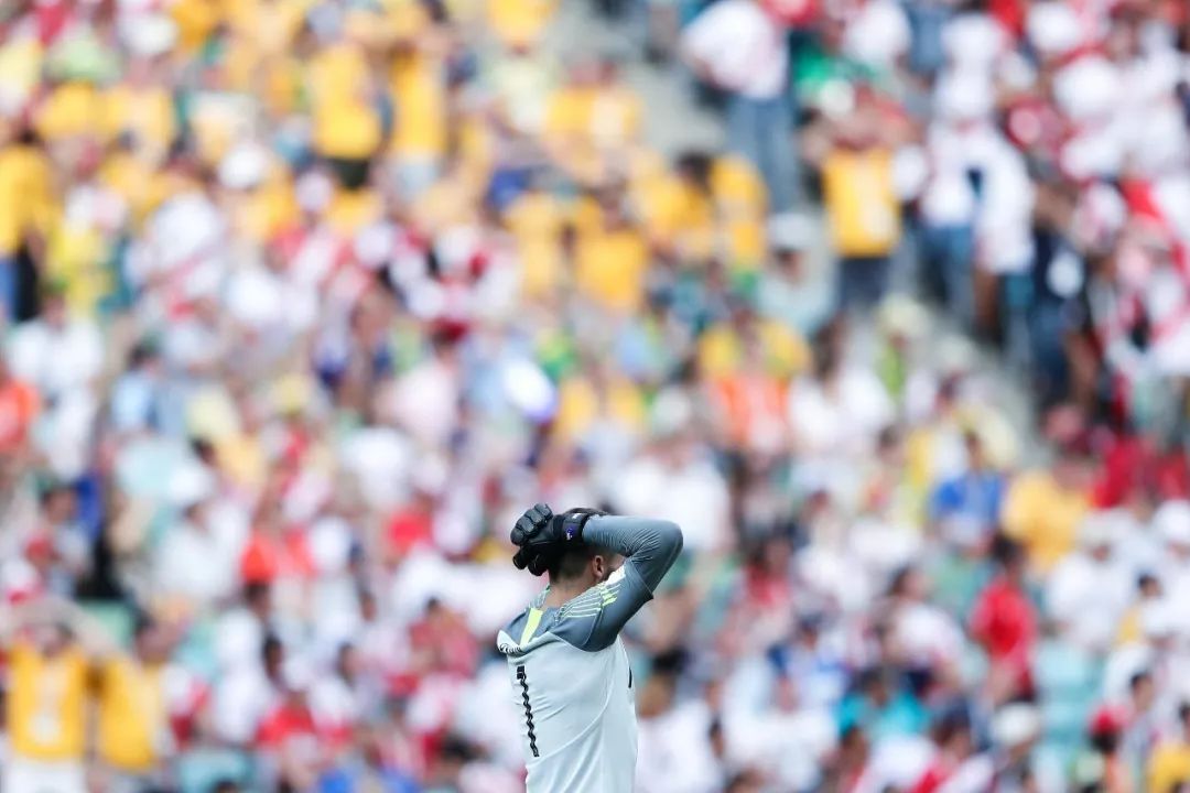 世界杯与股票,世界杯与中国足球对比