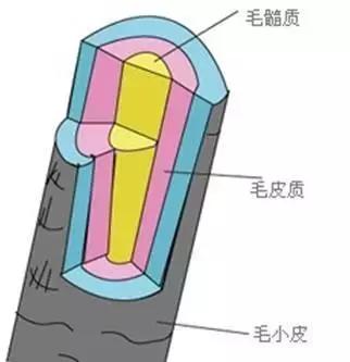 重度脱发怎么自救,脱发是医学界难以攻克的难题