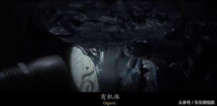 异形大战铁血战士进化史,异形起源异形进化史