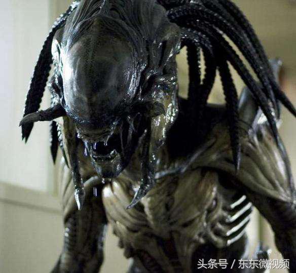 异形大战铁血战士进化史,异形起源异形进化史