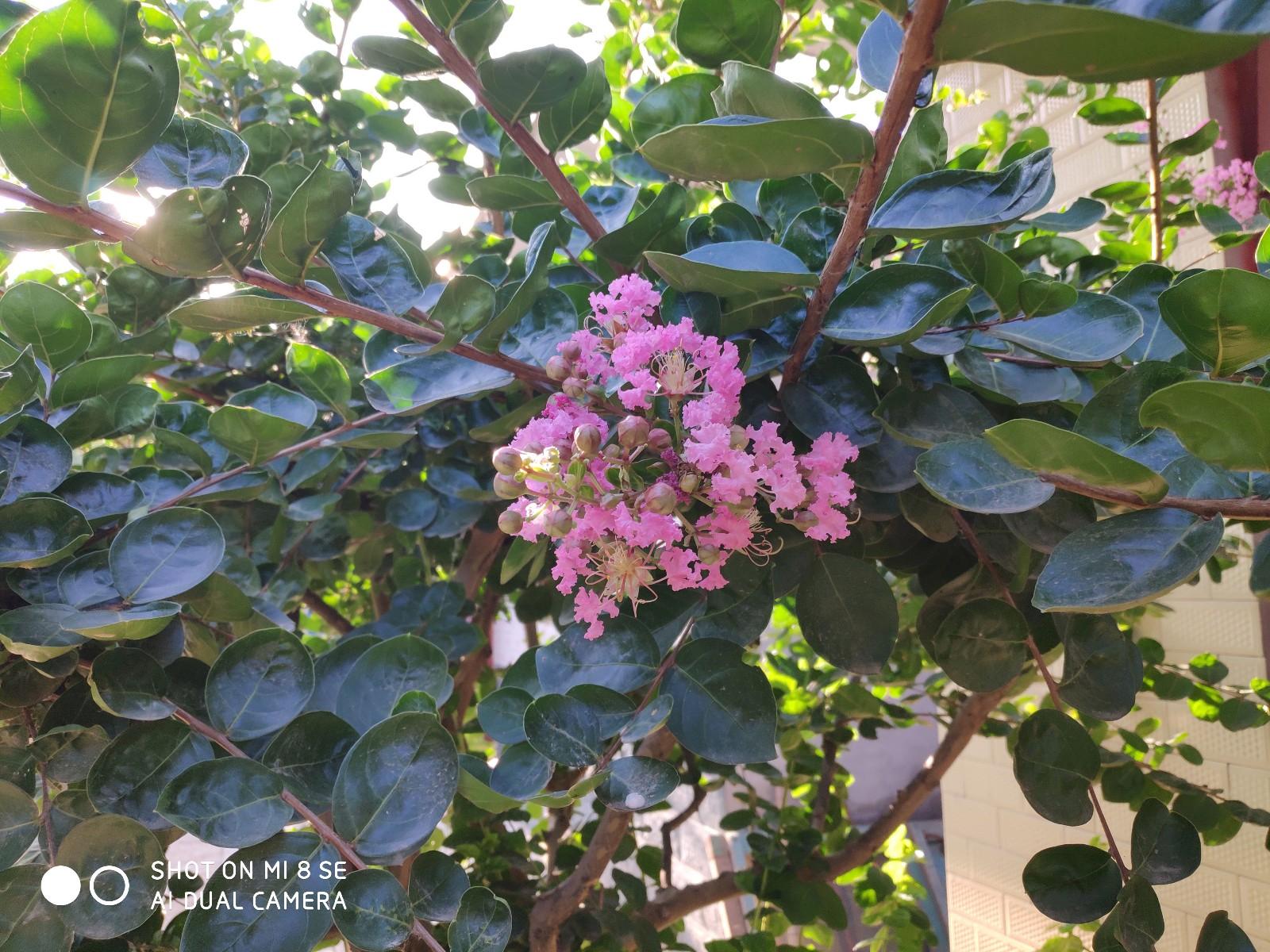 小米红米手机推荐最新,红米6和小米6哪个好