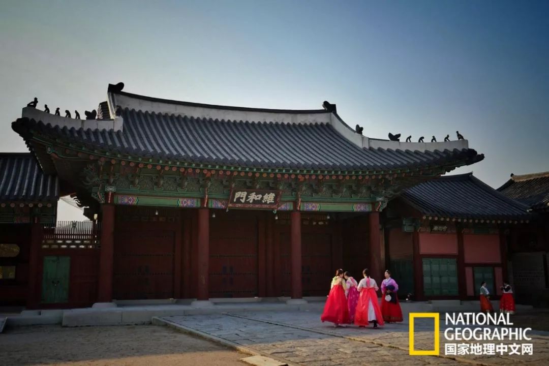 韩国足球的犯规艺术,韩国踢足球犯规现场