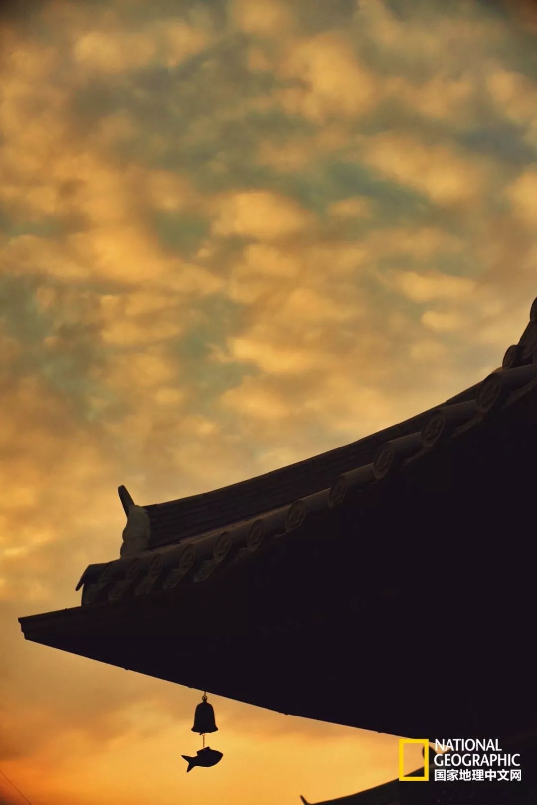 韩国足球的犯规艺术,韩国踢足球犯规现场