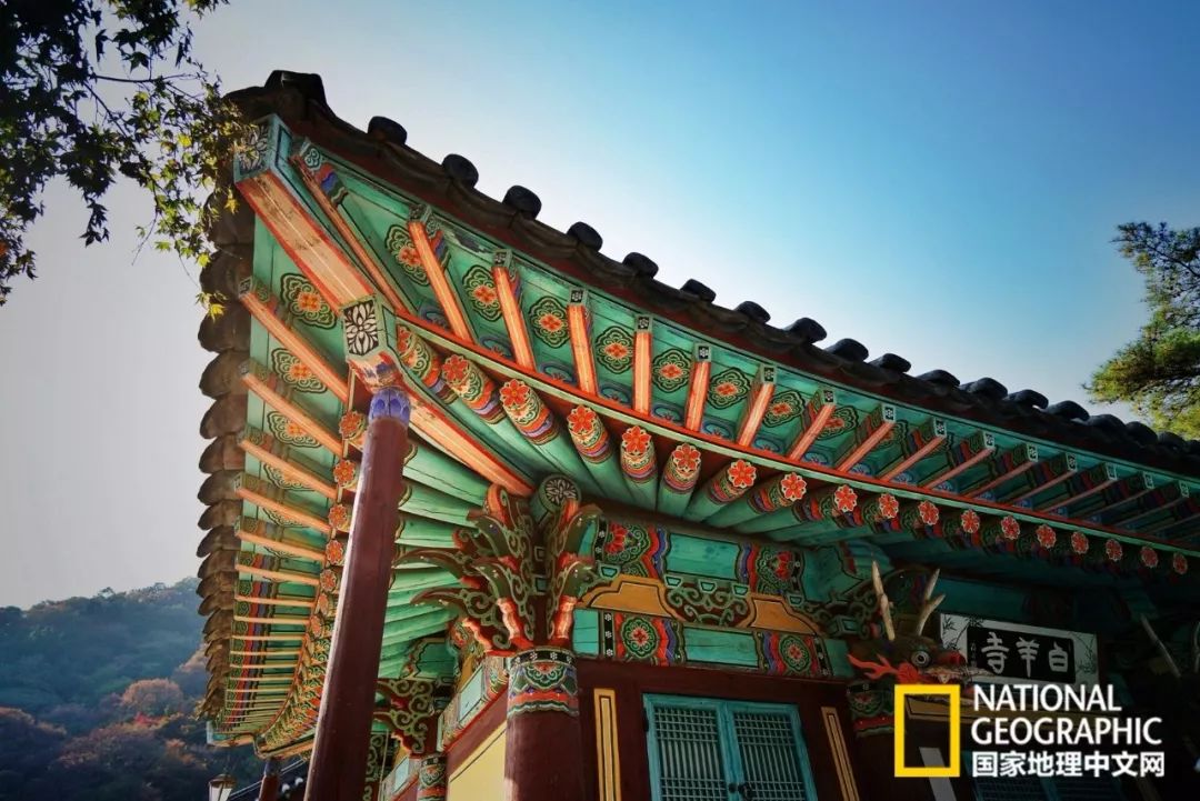 韩国足球的犯规艺术,韩国踢足球犯规现场