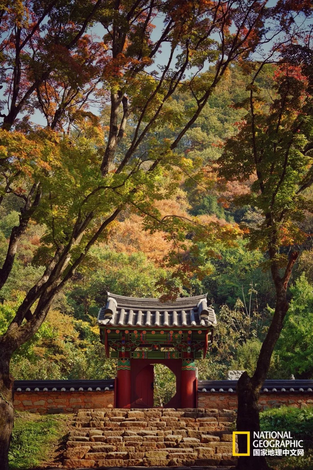 韩国足球的犯规艺术,韩国踢足球犯规现场